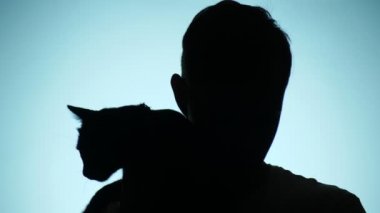 renk arka plan. 4k, ağır çekim. bir adamın gölgesi. bir yalnız adam aşık onun kedi ile alır..