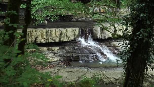 Живописная природа красивого водопада и изумрудного озера с пресной водой в лесной среде диких джунглей. 4k, slow motion — стоковое видео