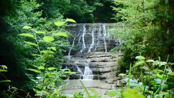 Natura paesaggistica di una bella cascata e smeraldo di un lago di acqua dolce in un ambiente selvaggio foresta giungla. 4k, rallentatore — Video Stock