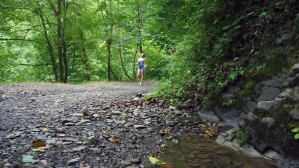 Het meisje blogger houdt een register bij, wandelen door het bos tussen de bergen. Schilderachtige natuur. 4k, slow-motion — Stockvideo
