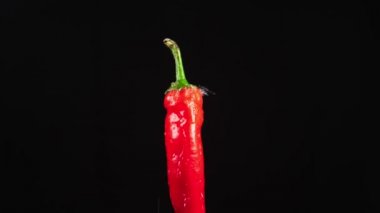 kırmızı acı biber - kadar yakın. Siyah bir arka plan üzerinde dönen bir elma üzerinde su damlacıkları kalmaktadır. süper ağır çekim.