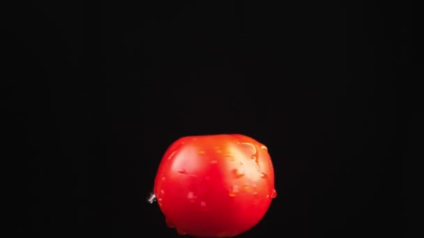 Rote Tomate, aus nächster Nähe. Wassertropfen fallen auf einen rotierenden Apfel auf schwarzem Hintergrund. Superzeitlupe. — Stockvideo