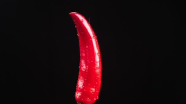 Pimiento picante rojo, cerca - arriba. Gotas de agua caen sobre una manzana giratoria sobre un fondo negro. super cámara lenta . — Vídeos de Stock