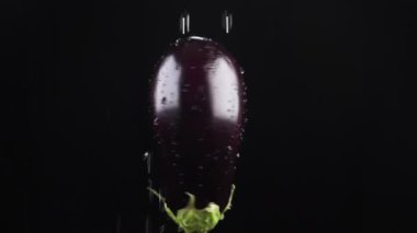 Patlıcan, - kadar yakın. Siyah bir arka plan üzerinde dönen bir elma üzerinde su damlacıkları kalmaktadır. süper ağır çekim.