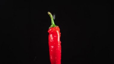 kırmızı acı biber - kadar yakın. Siyah bir arka plan üzerinde dönen bir elma üzerinde su damlacıkları kalmaktadır. süper ağır çekim.