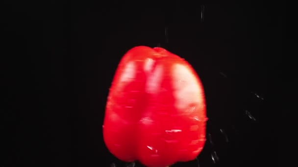 Rode paprika, sluiten - omhoog. Druppels water vallen op een roterende apple op een zwarte achtergrond. Super slow-motion. — Stockvideo