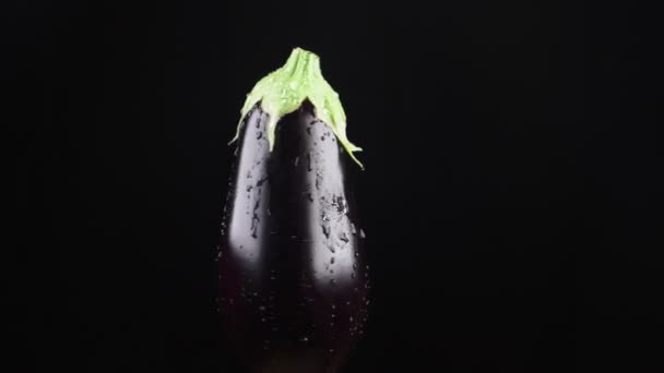 Auberginen, hautnah. Wassertropfen fallen auf einen rotierenden Apfel auf schwarzem Hintergrund. Superzeitlupe. — Stockvideo