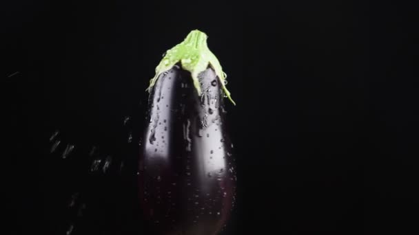 Aubergine, tout près. Des gouttes d'eau tombent sur une pomme tournante sur un fond noir. super ralenti . — Video