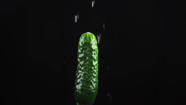 Komkommer, sluiten - omhoog. Druppels water vallen op een roterende apple op een zwarte achtergrond. Super slow-motion. — Stockvideo