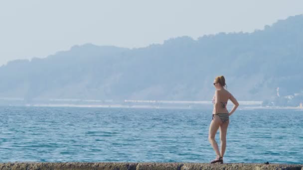 Zicht op de eilanden in de baai. Tele geschoten. vrouw op de golfbreker kijkt naar de kust in de mist, 4k, slow-motion — Stockvideo