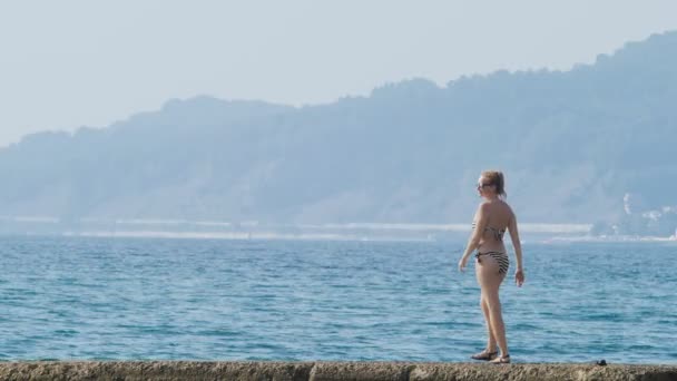 Vy över öarna i bukten. Teleobjektiv sköt. kvinna på vågbrytaren ser vid stranden i dimman, 4k, slow motion — Stockvideo