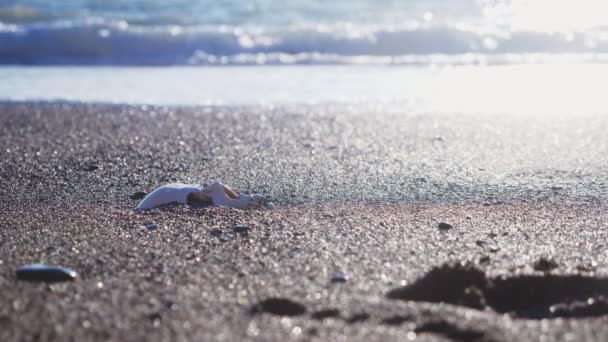 Un cráneo humano en la playa, bajo las olas del agua. 4k, cámara lenta — Vídeo de stock