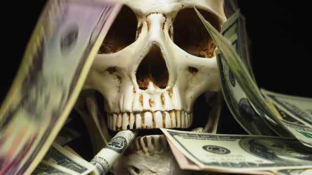 Dollars fall on the skull. — Stock Video