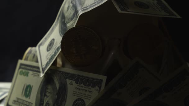 人类头骨在一堆美国货币的黑色背景 比特币的眼睛 — 图库视频影像