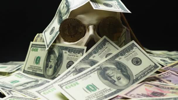 Lidská lebka v hromadu americké měny. Bitcoin v očích — Stock video