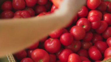 Bir kadın sebze içinde belgili tanımlık çarşı seçmektir. 4 k. yavaş çekim.