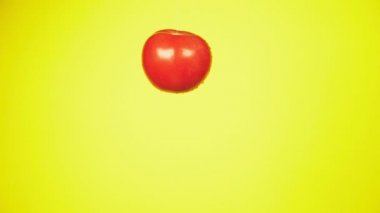 Taze domates su damlaları ile düşer. Beslenme kavramı. Ağır çekim, sarı bir arka plan izole