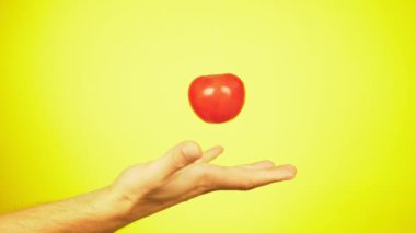 Taze domates su damlaları ile bir kişi eline düşmek. Beslenme kavramı. Sarı bir arka plan üzerinde ayrı tut yavaşlama