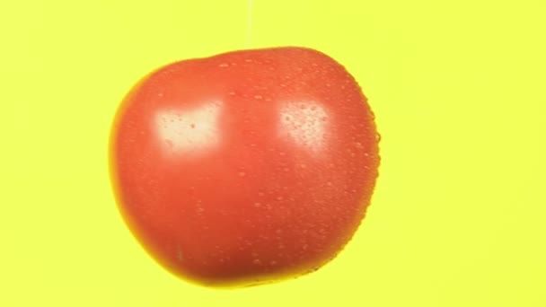 Los tomates frescos caen con gotas de agua. El concepto de nutrición. Aislar sobre un fondo amarillo, cámara lenta — Vídeos de Stock