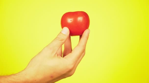 I pomodori freschi cadono con gocce d'acqua su una mano di persone. Il concetto di nutrizione. Isolato su uno sfondo giallo, rallentamento — Video Stock