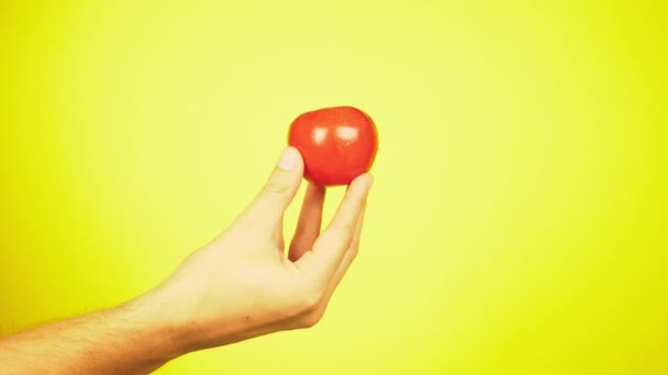 フレッシュ トマトは水の滴を人の手に落ちる。栄養の概念。黄色の背景に分離減速 — ストック動画