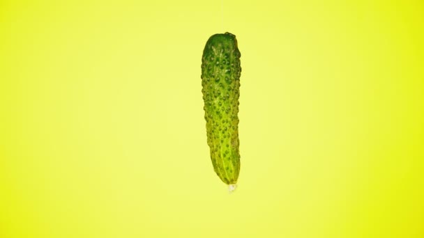 Fresh cucumbers fall with drops of water. The concept of nutrition. Isolate on a yellow background, slowdown — Stock Video