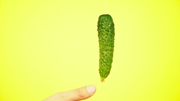 Los pepinos frescos caen con gotas de agua. El concepto de nutrición. Aislar sobre un fondo amarillo, ralentizar — Vídeos de Stock