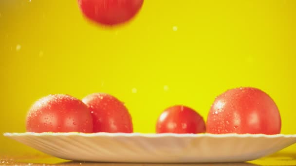 Frische Tomaten fallen mit Wassertropfen auf einen Teller. das Konzept der Ernährung. isoliert auf gelbem Hintergrund, Verlangsamung — Stockvideo