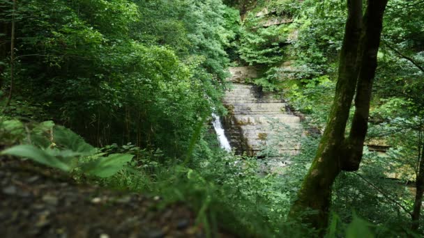 Живописная природа красивого водопада и изумрудного озера с пресной водой в лесной среде диких джунглей. 4k, slow motion — стоковое видео