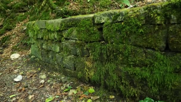 Stone wall with moss. 4k, slow motion. — Stock Video