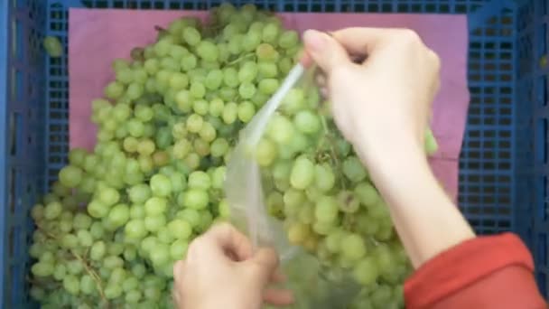 Жінка Супермаркеті Купує Овочі — стокове відео