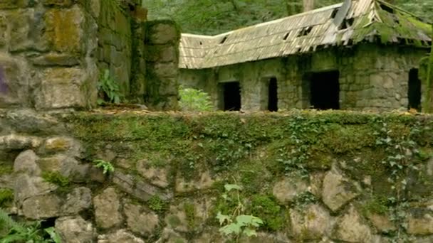 Ett fantastiskt landskap, ruinerna av ett gammalt stenhus i en tät skog. träd täckta med mossa och en fjällbäck nära huset. 4k. — Stockvideo