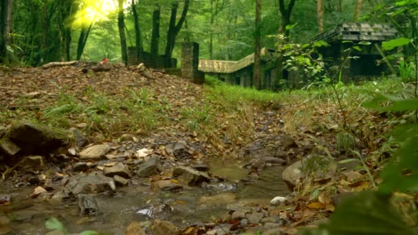 Uma paisagem fabulosa, as ruínas de uma antiga casa de pedra em uma floresta densa. árvores cobertas com musgo e um riacho de montanha perto da casa. 4k . — Vídeo de Stock