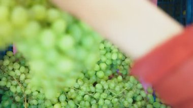 Bir kadın bir süpermarkette sebze satın alma