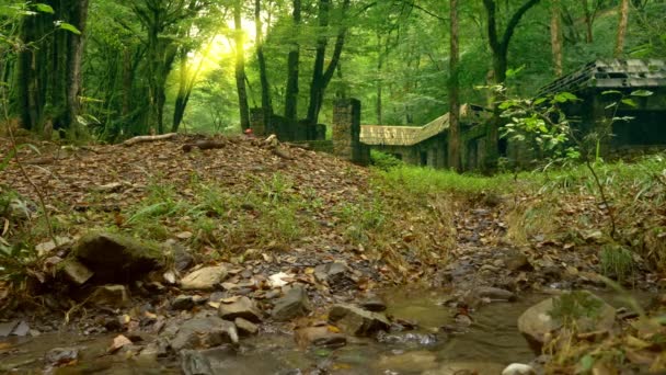 Een fantastisch landschap, de ruïnes van een oud stenen huis in een dicht bos. bomen bedekt met mos en een bergbeek in de buurt van het huis. 4k. — Stockvideo