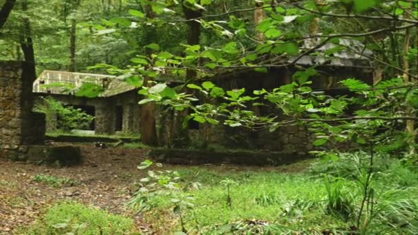 Uma paisagem fabulosa, as ruínas de uma antiga casa de pedra em uma floresta densa. árvores cobertas com musgo e um riacho de montanha perto da casa. 4k . — Vídeo de Stock