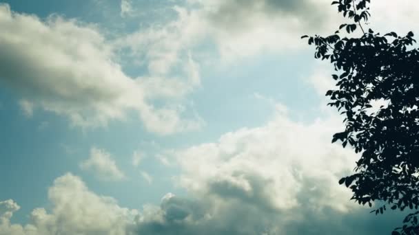 Mraky nad domem. Přetáhněte mraky na modré obloze, opři se stromy před větrem. — Stock video