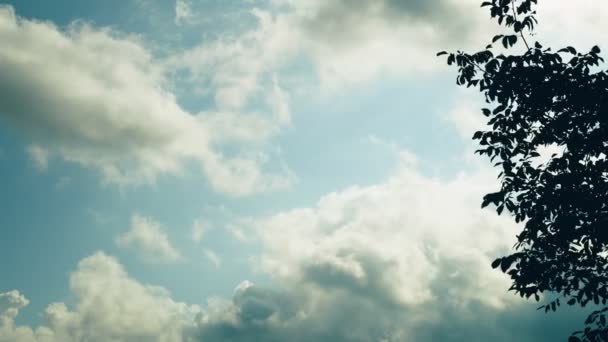 Nubes sobre la casa. Las nubes arrastran el cielo azul, los árboles se inclinan por el viento . — Vídeo de stock