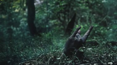 Zombi kol yerden tırmanıyor. rock canlı gösterir oturum