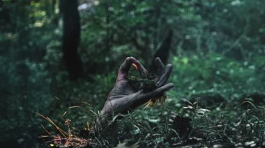 Zombi kol yerden tırmanıyor.