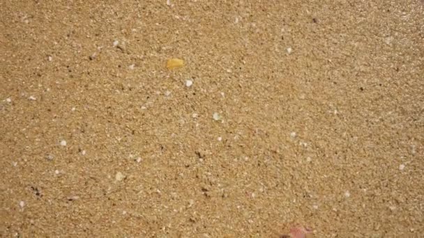 海砂と波、海の緩和のメンズ足ビーチ、夏の休日. — ストック動画