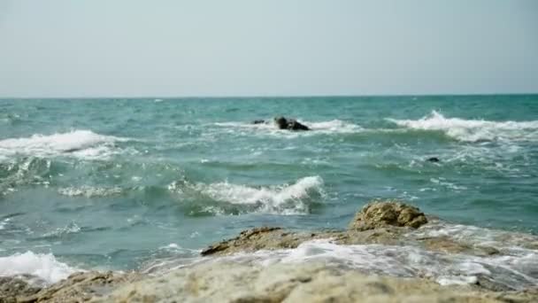 干潮時に砂の海石を濡れています 波と海の泡 — ストック動画