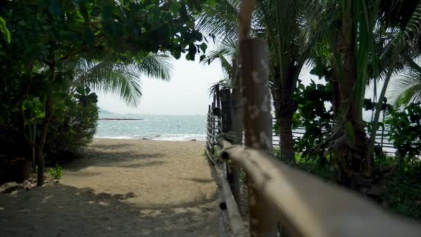 Bambus tyč plot na tropickém ostrově. bílá písečná pláž s palmami lemované pobřeží. — Stock video