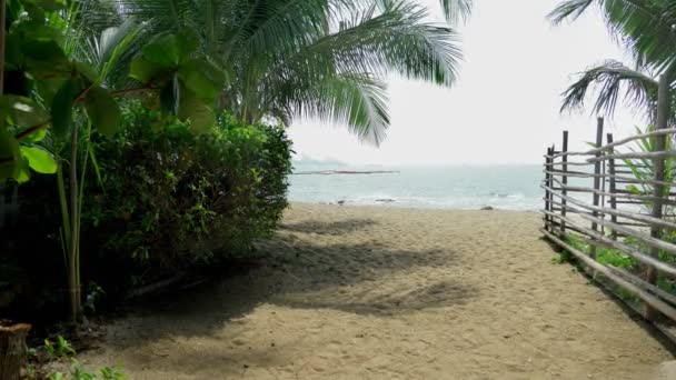 熱帯の島の竹の囲い。白い砂浜とヤシの木が並ぶ海岸. — ストック動画