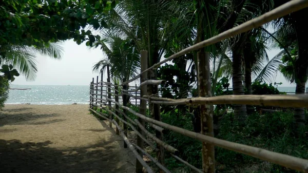 Μπαμπού φράχτη πόλο σε ένα τροπικό νησί. παραλία με λευκή άμμο με φοίνικες ακτή. — Φωτογραφία Αρχείου