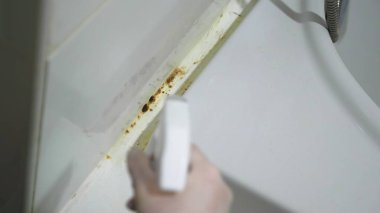 yakın çekim, vasıl belgili tanımlık dikiş yeri banyoda kalıp.