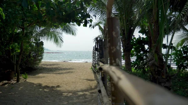 Μπαμπού φράχτη πόλο σε ένα τροπικό νησί. παραλία με λευκή άμμο με φοίνικες ακτή. — Φωτογραφία Αρχείου