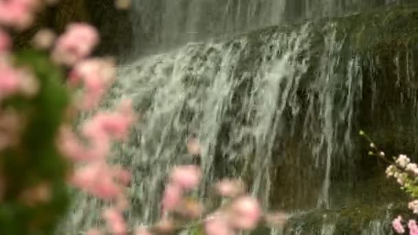 A large artificial waterfall framed by pink flowers and green leaves. — Stock Video