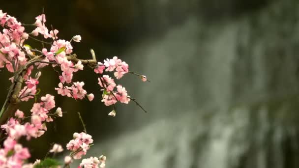Stora konstgjorda vattenfall inramat av rosa blommor och gröna blad. — Stockvideo