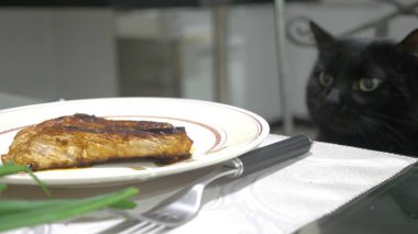 black cat watching a piece of meat on the kitchen table.